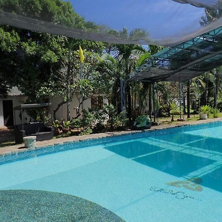 White Chocolate Hills Resort Zamboanguita  Екстер'єр фото